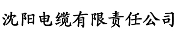 视频网站污电缆厂logo